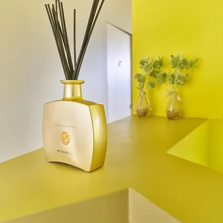 Design Goli&bosi Split